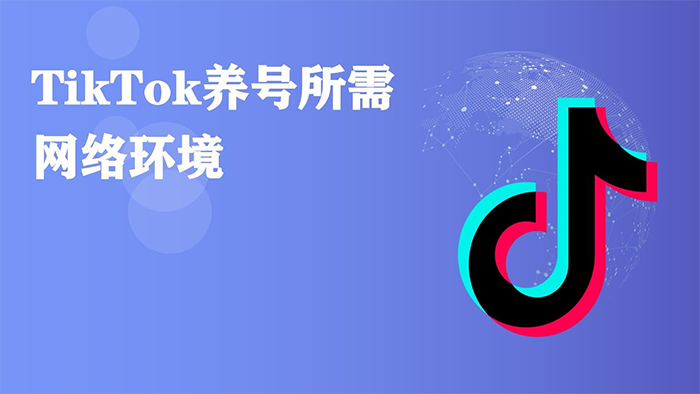 tiktok養號節點要什么條件，多少錢